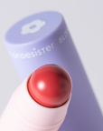 2 IN 1 LIP AND CHEEK STICK