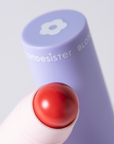 2 IN 1 LIP AND CHEEK STICK